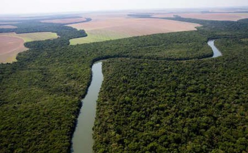 Governo prepara concessões para PPI na Amazônia