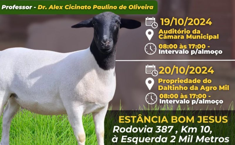 Programa Cordeiro de Rondônia faz parte do Cidadania Plena, iniciativa do Ifro em parceria com a deputada Sílvia Cristina 