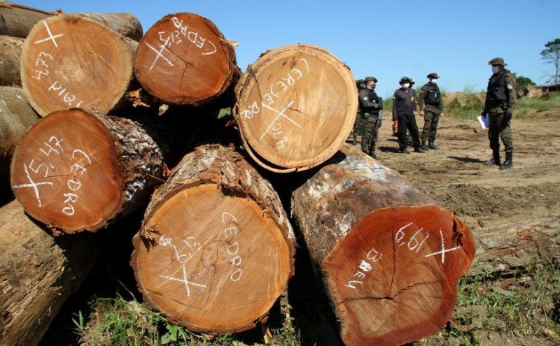 Operação Verde Brasil 2 fiscaliza indícios de irregularidades em madeireiras na região de Buritis