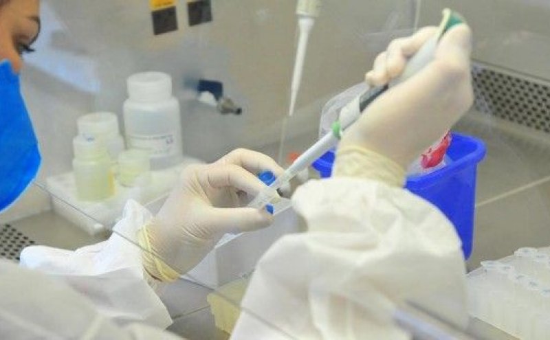 Quase 5.000 pessoas foram curadas do Coronavírus em Rondônia; total de casos é de 13.804