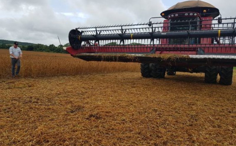 Rondônia tem aumento de 4,8% na exportação agropecuária no primeiro semestre de 2020